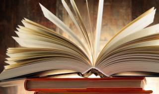 Tin bão Khẩn cấp (Cơn bão số 14)