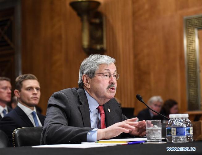 Tin bão trên đất liền (Cơn bão số 7)