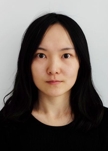 Máy bay Boeing Dreamliner lại gặp sự cố về hệ thống pin